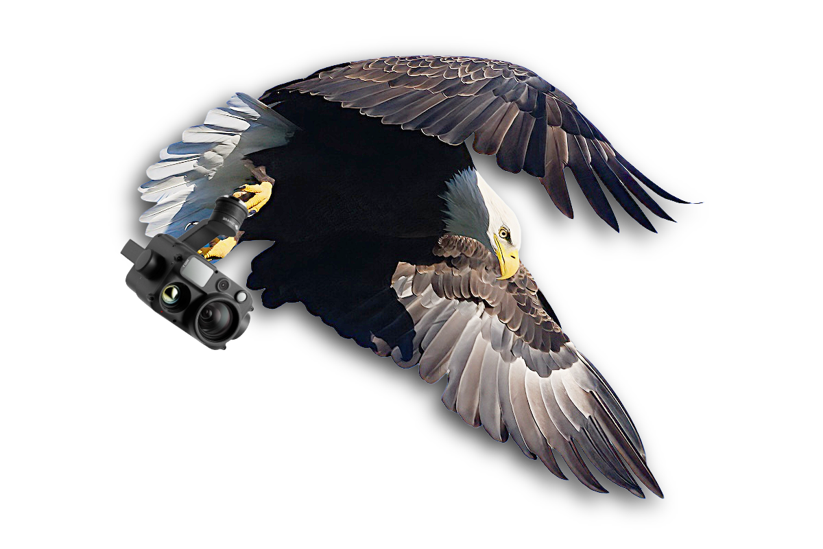 Eagle 60 Drone Services logo